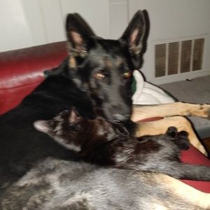 Meet your Posher, Clifford